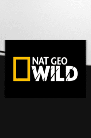 Nat Geo Wild